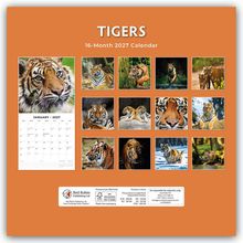 "TIGERS - 16-Month 2027 Calendar". Eine Collage mit Fotos von Tigern in verschiedenen Posen.