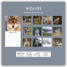 Text: „WOLVES, 16-Month 2027 Calendar, January 2027.“ 
Mehrere Wolfsfotos in einer Kalenderordnung.
