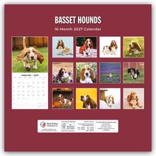 "Basset Hounds", "16-Month 2027 Calendar". Mehrere Fotos von Basset Hounds in verschiedenen Szenen auf rotem Hintergrund.