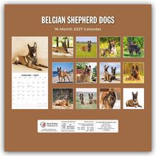 "Belgian Shepherd Dogs", "16-Month 2027 Calendar". Verschiedene Bilder von belgischen Schäferhunden.