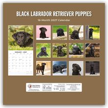 "BLACK LABRADOR RETRIEVER PUPPIES", "16-Month 2027 Calendar", viele Bilder von schwarzen Welpen, Januar 2027 Kalender.