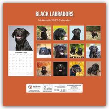 "Black Labradors, 16-Month 2027 Calendar." Verschiedene Bilder von schwarzen Labradors auf orangenem Hintergrund.