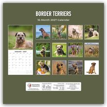 "Border Terriers 16-Month 2027 Calendar." Oben sind Fotos von Border Terriern in verschiedenen Outdoor-Situationen.