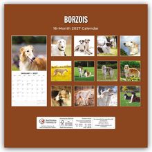 Text: "BORZOIS 16-Month 2027 Calendar". Kalenderbilder von eleganten, langhaarigen Hunden. Monatsübersicht Januar 2027.