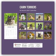 "Cairn Terriers" und "16-Month 2027 Calendar" oben. Verschiedene Bilder von Cairn Terriers in zwei Reihen darunter.