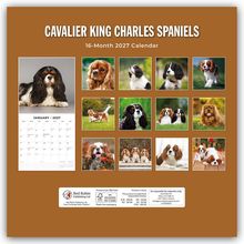 "Cavalier King Charles Spaniels" und "16-Month 2027 Calendar" sind die Haupttexte. Bilder zeigen verschiedene Spaniel-Hunde.
