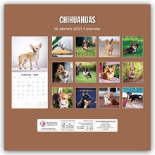 Text: "CHIHUAHUAS 16-Month 2027 Calendar". Fotos von Chihuahuas, Kalenderblatt Januar 2027.
