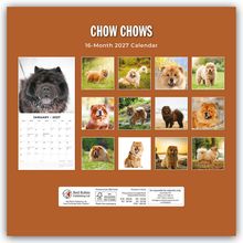 "CHOW CHOWS", "16-Month 2027 Calendar"; brauner Hintergrund, zwölf Chow-Chow-Fotos, Kalendervorschau für Januar 2027.