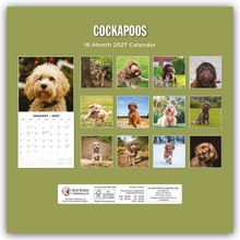 "COCKAPOOS", "16-Month 2027 Calendar", Fotos von Cockapoos in verschiedenen Posen und Hintergründen.