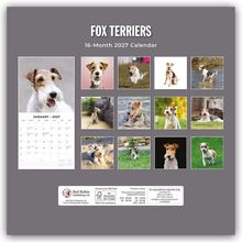 "FOX TERRIERS 16-Month 2027 Calendar" in Weiß. Fotos von Fox Terriern in verschiedenen Posen und Umgebungen.