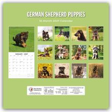 „GERMAN SHEPHERD PUPPIES“, „16-Month 2027 Calendar“, enthält 13 Bilder von Schäferhundwelpen und eine Monatsübersicht für Januar 2027.