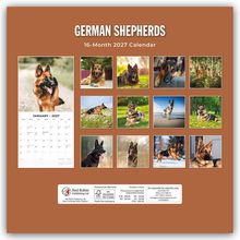 "German Shepherds 16-Month 2027 Calendar." Fotos von Schäferhunden mit einem Kalenderblatt für Januar 2027.
