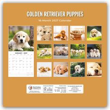 "Golden Retriever Puppies," "16-Month 2027 Calendar." Fotos von Welpen in verschiedenen süßen Posen und Szenarien.