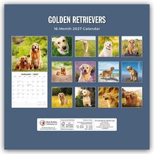 "Golden Retrievers", "16-Month 2027 Calendar". Fotos von Golden Retrievern in verschiedenen Landschaften. Januar 2027 Kalenderblatt.