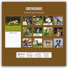 Oben steht "GREYHOUNDS" und "16-Month 2027 Calendar". Fotos von Windhunden in verschiedenen Posen.