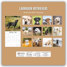 "Labrador Retrievers" und "16-Month 2027 Calendar" steht oben. Bilder von verschiedenen Labradoren sind in einem Kalender-Layout angeordnet.