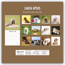 "LHASA APSOS" und "16-Month 2027 Calendar". Fotos von verschiedenen Lhasa Apso Hunden in einem Kalenderlayout.