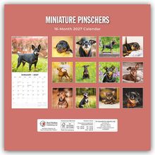 MINIATURE PINSCHERS 16-Month 2027 Calendar. Verschiedene Bilder von Miniature Pinscher Hunden in einem Kalenderlayout.