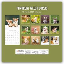 Titel: Pembroke Welsh Corgis, 16-Month 2027 Calendar. Zwölf Corgi-Fotos auf grünem Hintergrund, links ein Kalenderblatt.