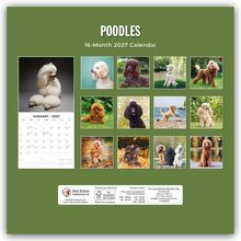 "Poodles", "16-Month 2027 Calendar", Januar 2027 Kalenderseite, zwölf Fotos von Pudeln in verschiedenen Szenen.
