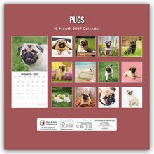 "PUGS" oben; "16-Month 2027 Calendar". Verschiedene Mops-Bilder in einem Kalenderlayout.