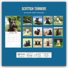 "SCOTTISH TERRIERS", "16-Month 2027 Calendar". Fotos von Scottish Terriern. Kalenderblatt für Januar 2027 links.