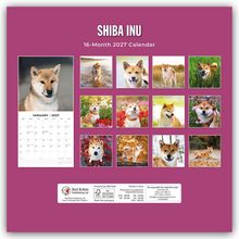 "SHIBA INU 16-Month 2027 Calendar." Zwölf Fotos von Shiba Inu-Hunden vor bunten Hintergründen.