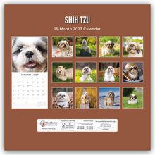 "SHIH TZU, 16-Month 2027 Calendar." Fotos von Shih Tzus auf braunem Hintergrund, inklusive Monatsübersicht Januar 2027.