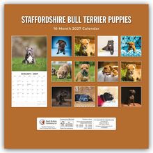 Oben steht "STAFFORDSHIRE BULL TERRIER PUPPIES", darunter "16-Month 2027 Calendar". Zwölf Welpenfotos sind angeordnet.