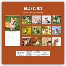 "Welsh Corgis", "16-Month 2027 Calendar", zeigt verschiedene Corgi-Fotos auf einem braunen Hintergrund.