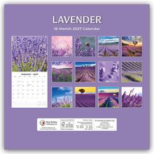 "LAVENDER: 16-Month 2027 Calendar." Bilder von Lavendelfeldern in verschiedenen Szenen und Farben.