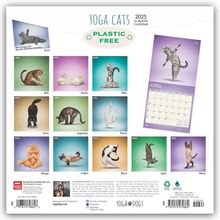 BrownTrout Publisher: Yoga Cats - Yoga-Katzen 2025 - 16-Monatskalender, Kalender
