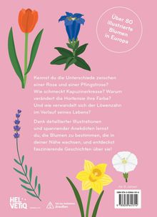 Über 80 illustrierte Blumen in Europa. Illustrationen von Tulpe, Enzian, Lavendel, Osterglocke und Winde auf rosa Hintergrund.