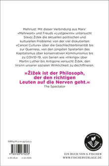 Slavoj Zizek: Die Paradoxien der Mehrlust, Buch