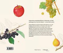 Historisches und aktuelles Wissen zu Obstsorten, Züchtung und Malerei. Illustrationen von Früchten: Apfel, Trauben, Kirschen.