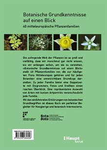 Botanische Grundkenntnisse auf einen Blick. Enthält Fotos von Pflanzen und eine ausführliche Beschreibung des Inhalts.