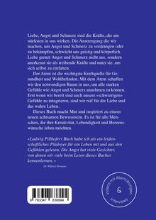 Ludwig Pillhofer: Liebe, Angst &amp; Schmerz, Buch
