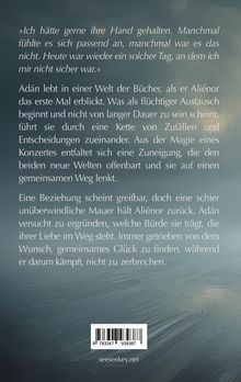 Florian Bottke: Im leeren Himmel, Buch