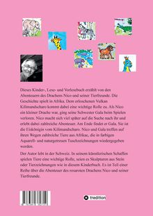 Peter Baumgartner: Das Wiedersehen mit der Eiskönigin vom Kilimandscharo, Buch