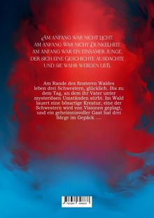 Louisa Behrend: Der Fluch der Dämonenkönige, Buch