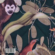 Strichcode: 1/9783844/467139. Illustration mit einem Affen, Vogel und grünen Blättern auf dunklem Hintergrund.