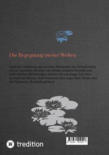 Aldivan Torres: Die Begegnung zweier Welten, Buch