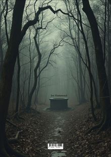 "Joe Hammoud" auf einem Pfad im nebligen Wald, der zu einem Brunnen führt. Karge, kahle Bäume umrahmen die Szene.