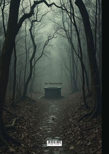 Text: "Joe Hammoud". Ein nebliger Waldweg führt zu einem alten, kreisförmigen Brunnen, umgeben von kahlen Bäumen.