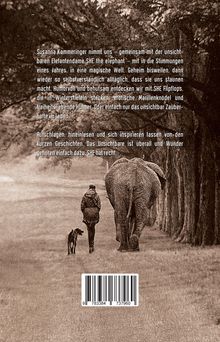 Ein Mann, ein Hund und ein Elefant gehen eine von Bäumen gesäumte Straße entlang. Text beschreibt eine magische Welt.
