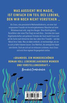 Text auf blauem Hintergrund beschreibt eine Geschichte über Grace, die ein Haus auf Ibiza erbt, und ihre Entdeckungsreise. Unten schwimmen stilisierte Fische zwischen wellenartigen Linien.