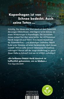 Heidi Amsinck: Schneeflockengrab, Buch