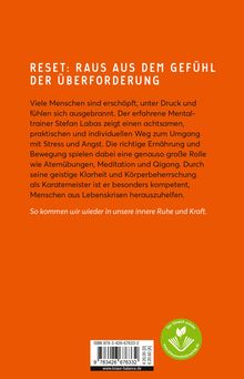 Stefan Labas: Ready for Reset, Buch