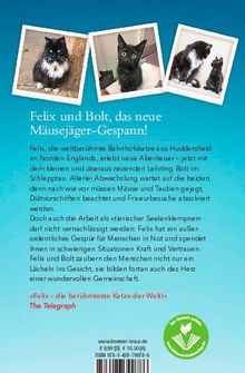 Kate Moore: Mit Volldampf voraus, Felix!, Buch