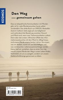 Catherin Seib: Der Raum dazwischen, Buch